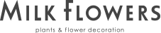 MILK FLOWERS plants & flower decoration